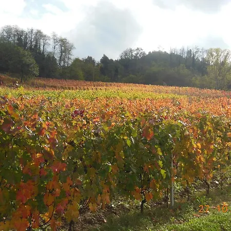 Cascina Tollu Farm stay San Giacomo (Piedmont)