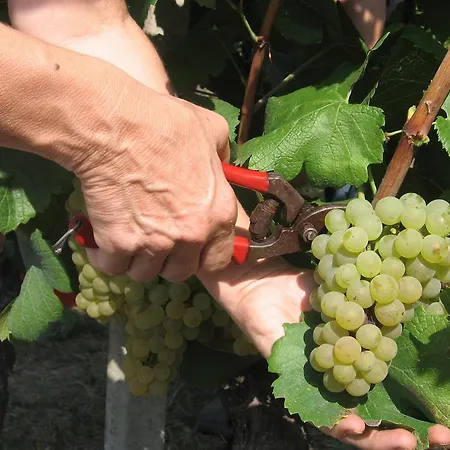 Cascina Tollu Farmház