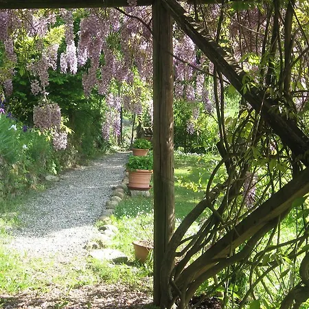 Cascina Tollu Çiftlik konaklama San Giacomo (Piedmont)