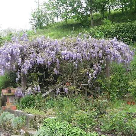 Cascina Tollu Farm stay