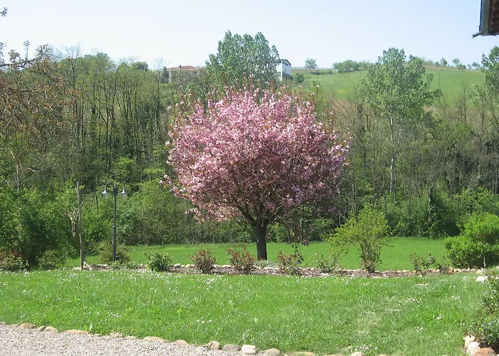 Cascina Tollu * San Giacomo (Piedmont)
