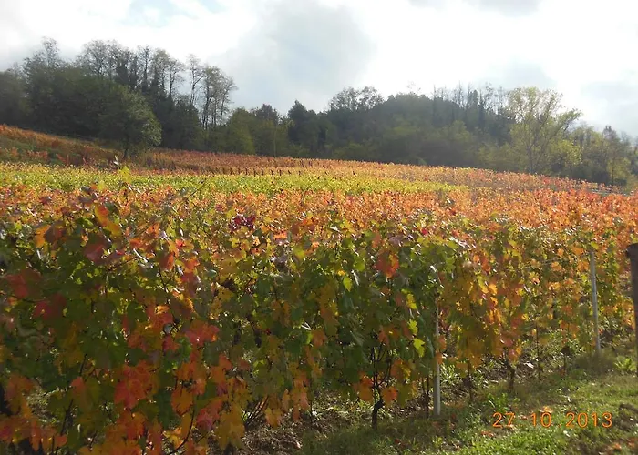 Cascina Tollu Séjour à la ferme San Giacomo (Piedmont)