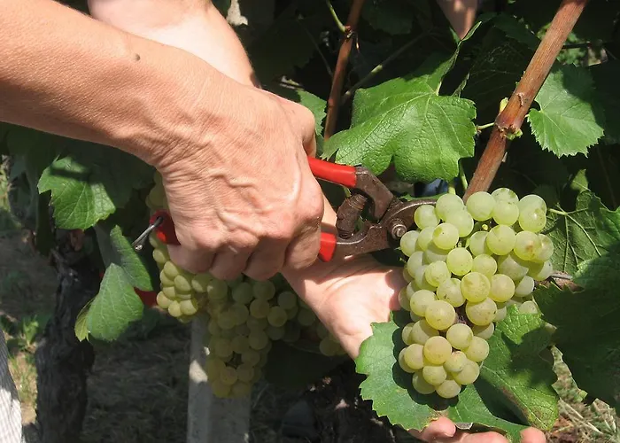 Cascina Tollu Séjour à la ferme