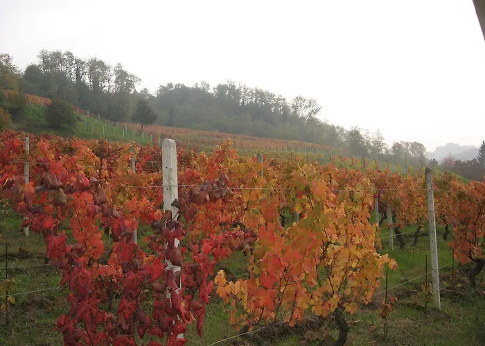 Cascina Tollu