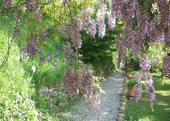 Cascina Tollu * San Giacomo (Piedmont)